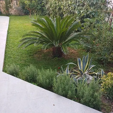 Hébergement de vacances Ruzmarin Trogir