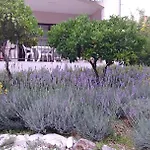 Ruzmarin Casa vacanze *