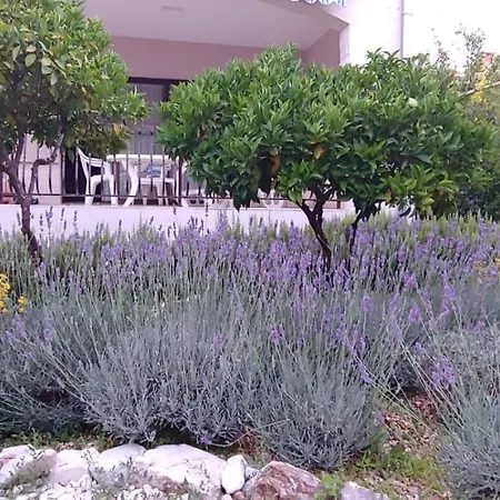 Ruzmarin Holiday home *